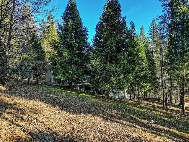 2894 Black Oak Dr, Arnold, CA 95223