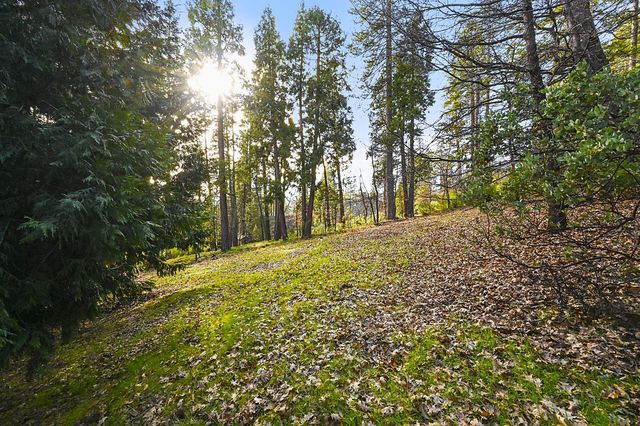 2894 Black Oak Dr, Arnold, CA 95223