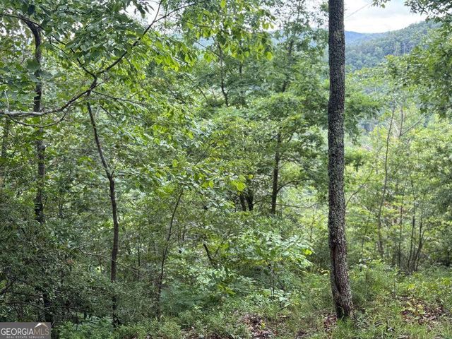 575 Galaxy Way NE, Ranger, GA 30734