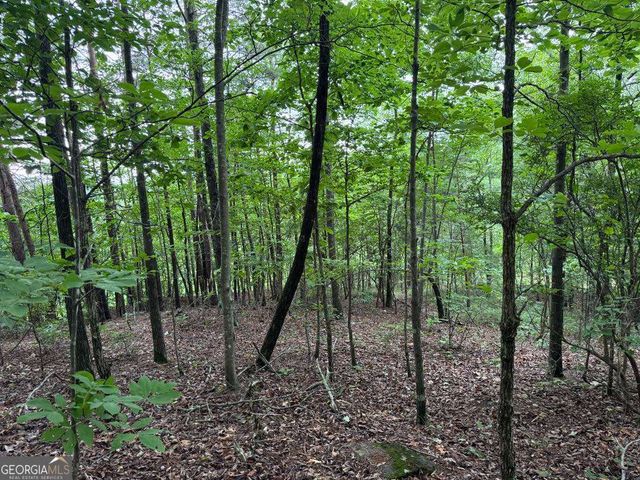 575 Galaxy Way NE, Ranger, GA 30734