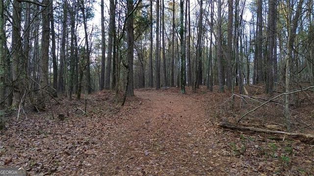 8165 Highway 81, Bethlehem, GA 30620