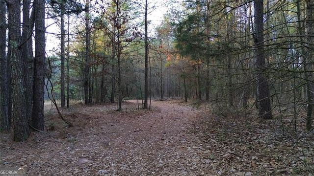 8165 Highway 81, Bethlehem, GA 30620