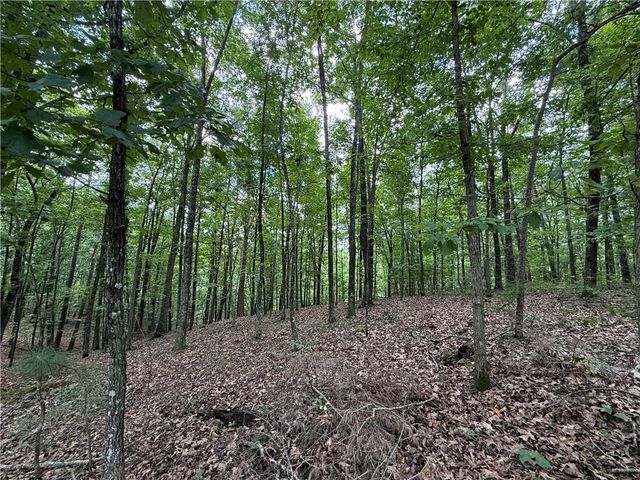 LOT 10 Mayfield Lane, Ranger, GA 30734