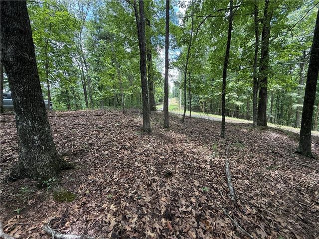 LOT 10 Mayfield Lane, Ranger, GA 30734
