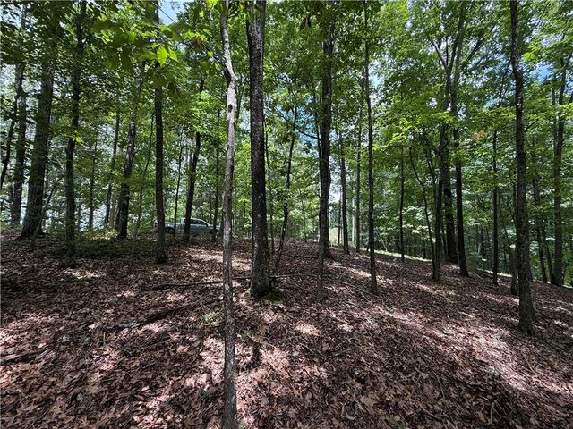 LOT 10 Mayfield Lane, Ranger, GA 30734