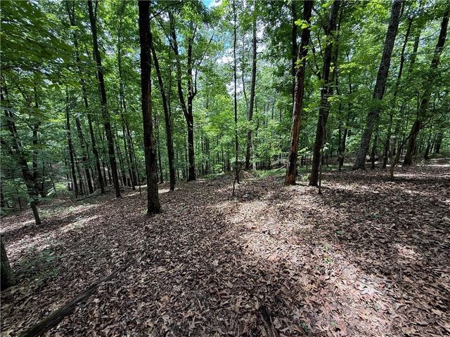 LOT 10 Mayfield Lane, Ranger, GA 30734
