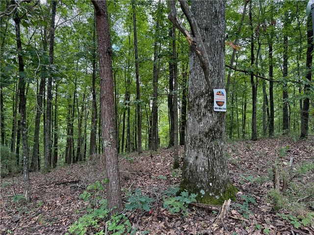 LOT 10 Mayfield Lane, Ranger, GA 30734
