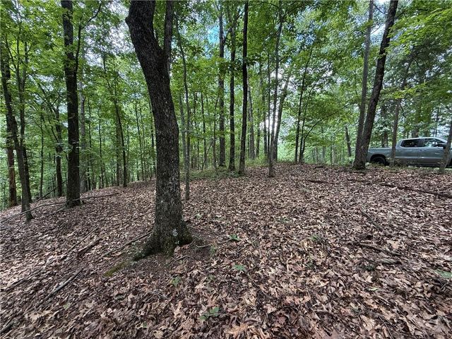 LOT 10 Mayfield Lane, Ranger, GA 30734