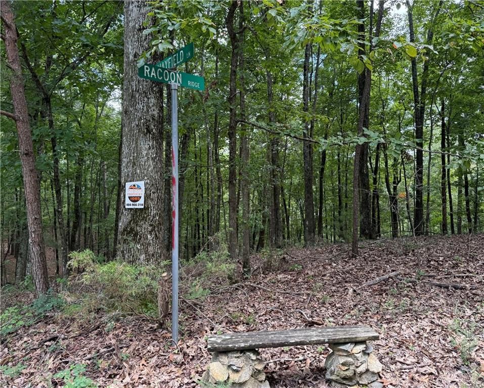 LOT 10 Mayfield Lane, Ranger, GA 30734