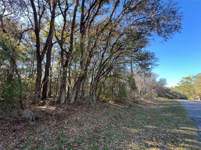 3968 N INDIANHEAD ROAD, Hernando, FL 34442