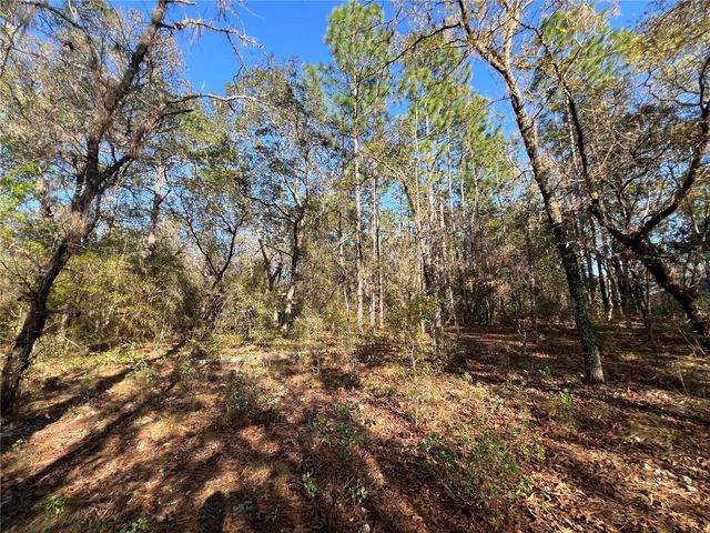 3968 N INDIANHEAD ROAD, Hernando, FL 34442