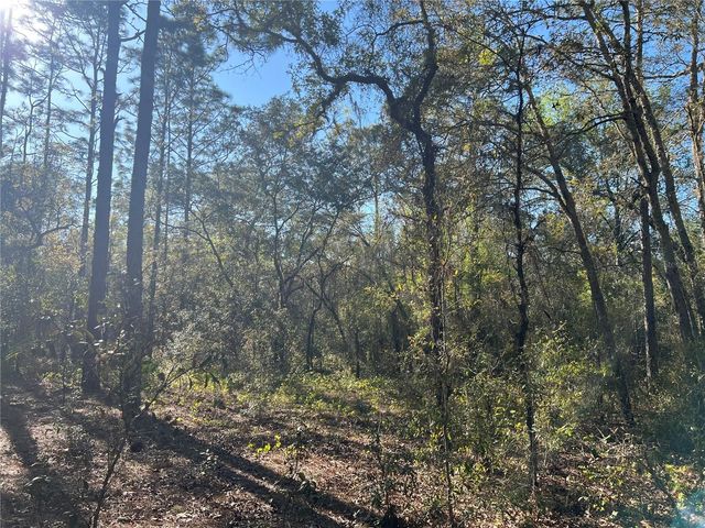 3968 N INDIANHEAD ROAD, Hernando, FL 34442