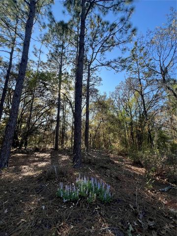 3968 N INDIANHEAD ROAD, Hernando, FL 34442