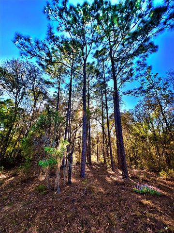 3968 N INDIANHEAD ROAD, Hernando, FL 34442