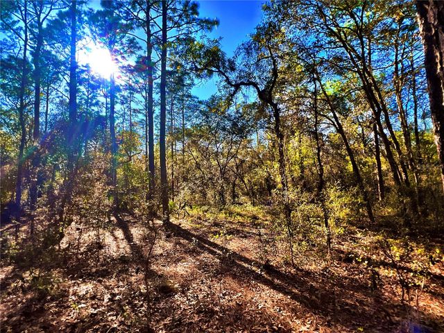 3968 N INDIANHEAD ROAD, Hernando, FL 34442