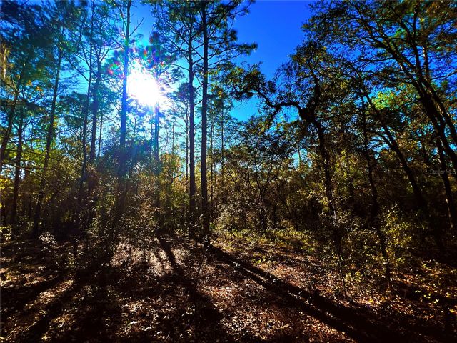 3968 N INDIANHEAD ROAD, Hernando, FL 34442