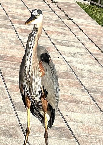 11201 122ND AVENUE 197, Largo, FL 33778