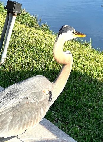 11201 122ND AVENUE 197, Largo, FL 33778