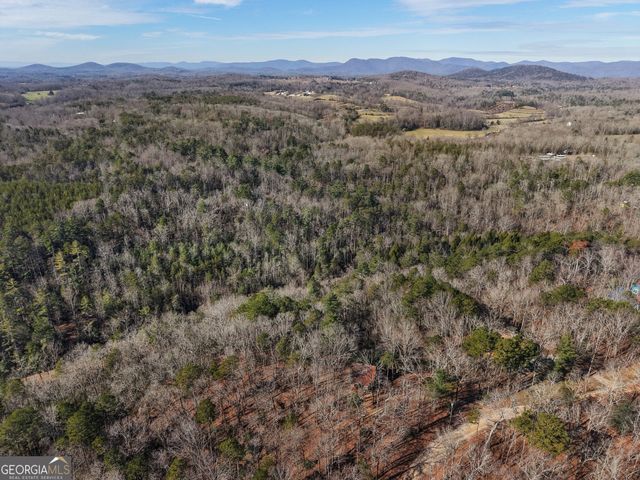 714 Deer Woods Trail, Cleveland, GA 30528