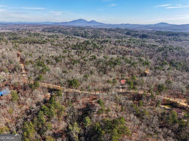 714 Deer Woods Trail, Cleveland, GA 30528
