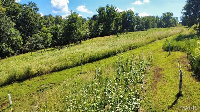 3079 Stonebridge Place, Festus, MO 63028