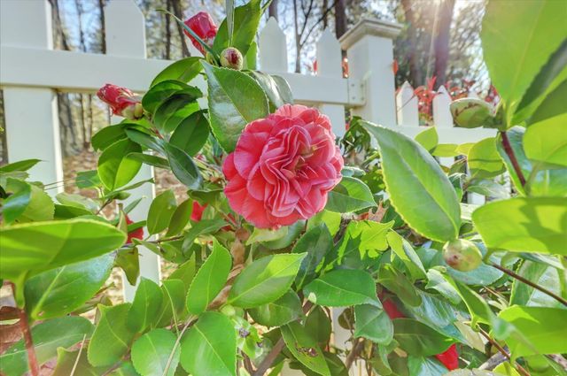 13727 Alpha Ct, Grass Valley, CA 95949