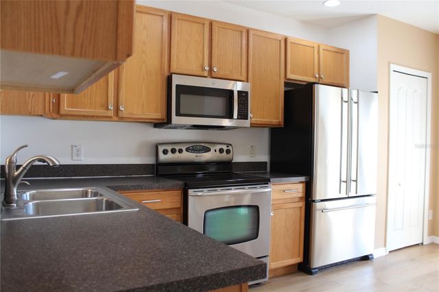 16320 SWAN VIEW CIRCLE, Odessa, FL 33556