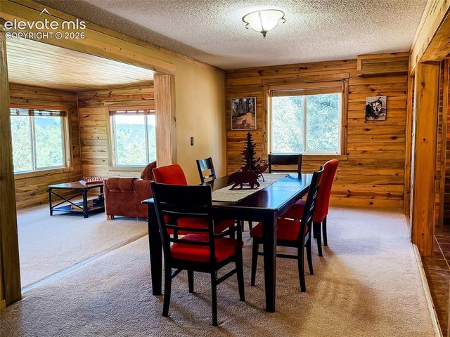 269 Southpark Road, Florissant, CO 80816