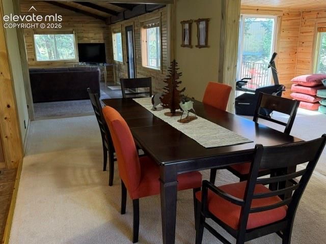 269 Southpark Road, Florissant, CO 80816