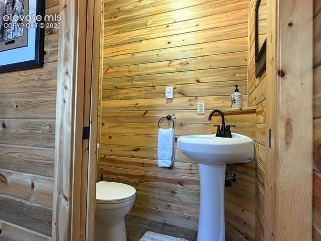 269 Southpark Road, Florissant, CO 80816