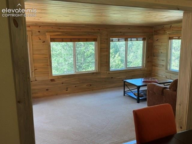 269 Southpark Road, Florissant, CO 80816