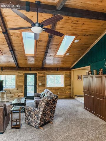 269 Southpark Road, Florissant, CO 80816