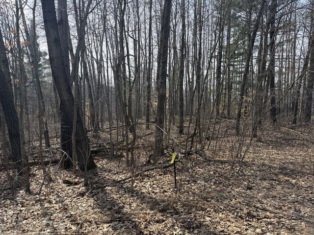 12952 Bowen Lake Drive, Gowen, MI 49326