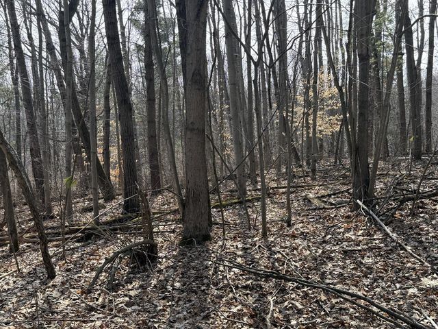 12952 Bowen Lake Drive, Gowen, MI 49326