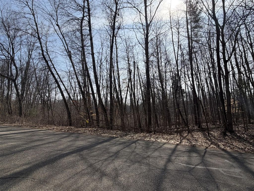 12952 Bowen Lake Drive, Gowen, MI 49326
