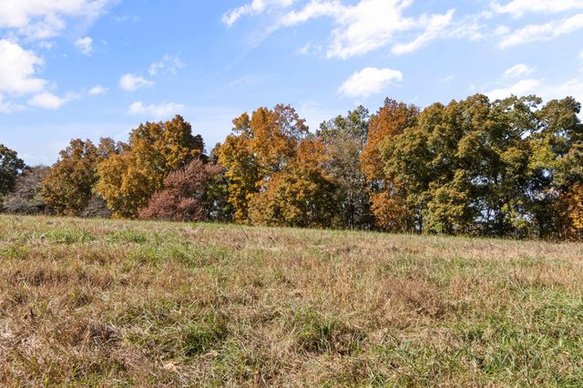 784 Damron Rd, Lynchburg, TN 37352