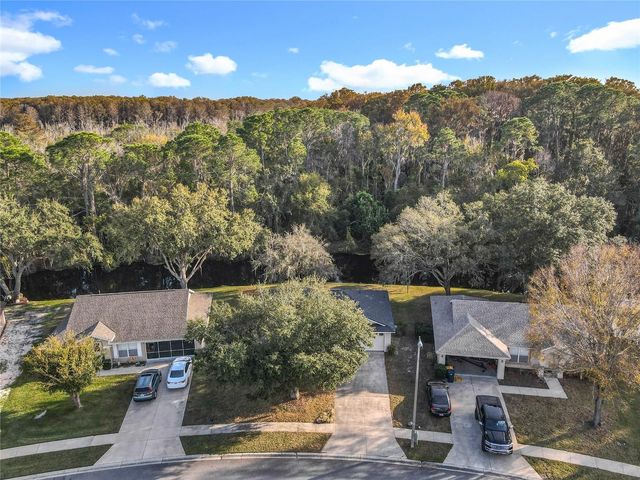 880 VINDALE ROAD, Tavares, FL 32778