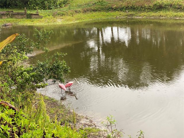 1691 LAKEVIEW PLACE, Englewood, FL 34223