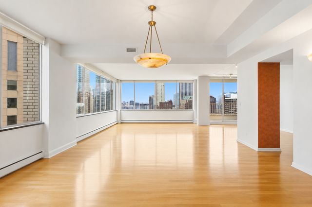 1000 N Lake Shore Plaza 24C, Chicago, IL 60611