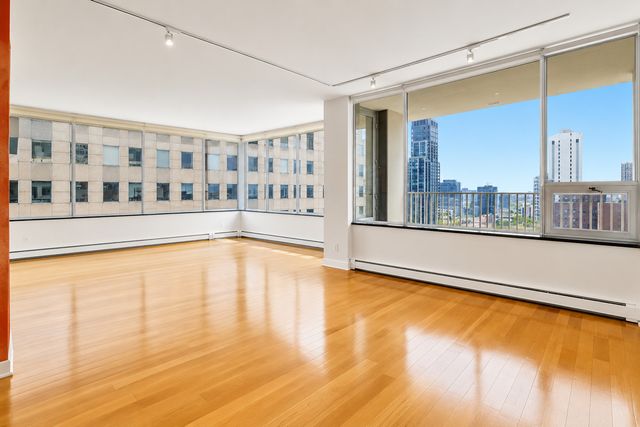 1000 N Lake Shore Plaza 24C, Chicago, IL 60611