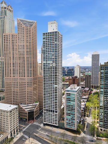 1000 N Lake Shore Plaza 24C, Chicago, IL 60611
