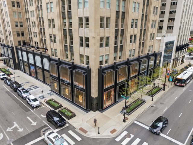 1000 N Lake Shore Plaza 24C, Chicago, IL 60611