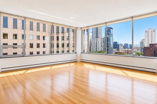 1000 N Lake Shore Plaza 24C, Chicago, IL 60611