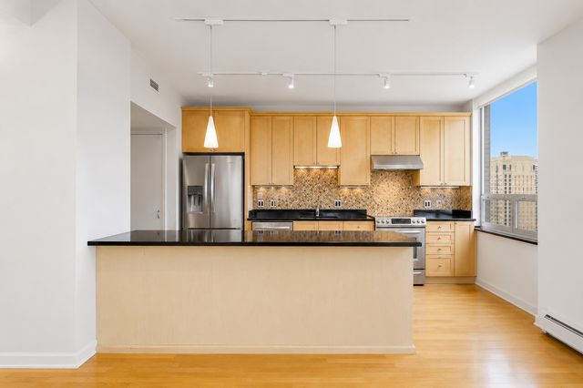 1000 N Lake Shore Plaza 24C, Chicago, IL 60611