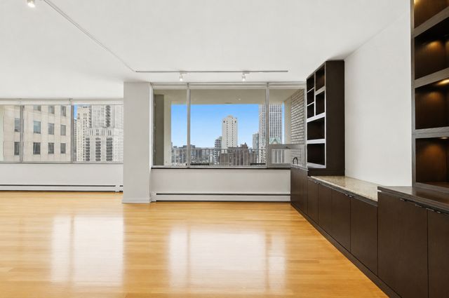 1000 N Lake Shore Plaza 24C, Chicago, IL 60611