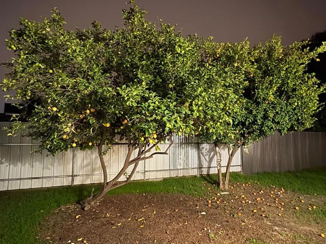 6042 Coad Lane, Riverbank, CA 95367