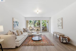 955 Shorepoint Ct 100, Alameda, CA 94501