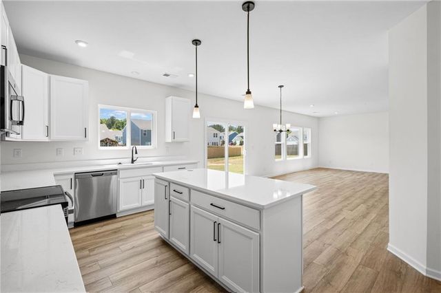 1006 Blossom Lane, Euharlee, GA 30120