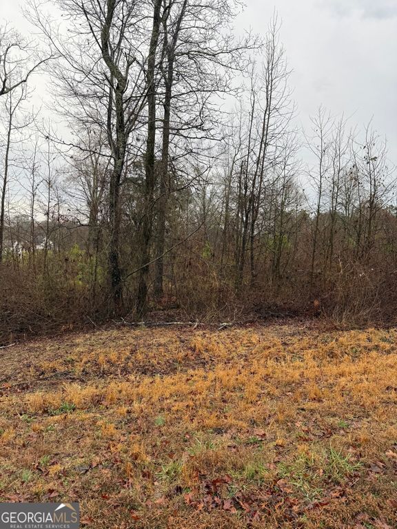 874 Forrester Cemetery Road, Covington, GA 30014