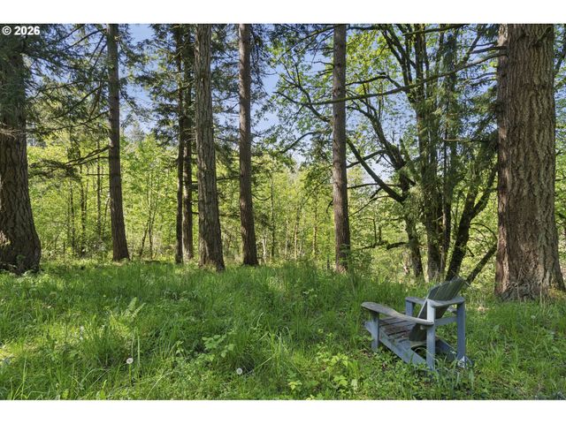 38041 Se RICKERT Rd, Corbett, OR 97019